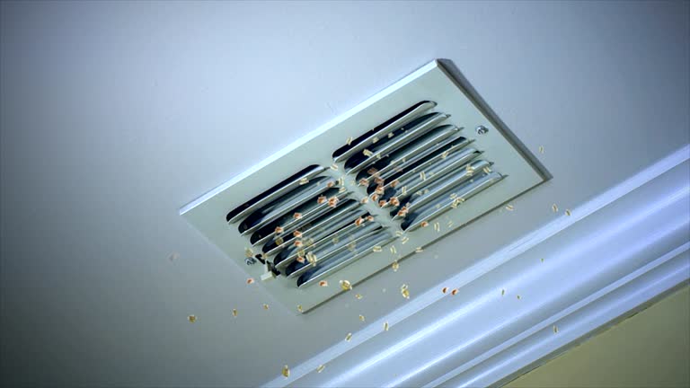 Best Ventilation Cleaning Services  in Rockdale, IL
